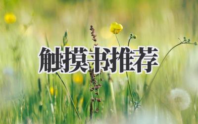触摸书推荐