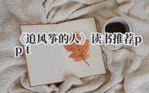 《追风筝的人》读书推荐ppt