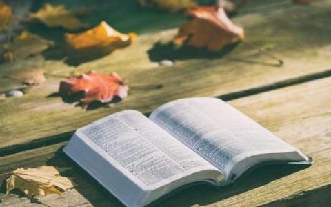 《解锁秋日穿搭灵感：针织开衫的N种可能》