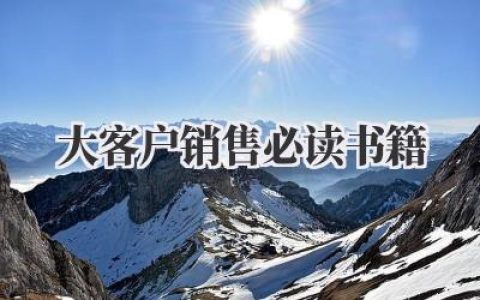 大客户销售必读书籍