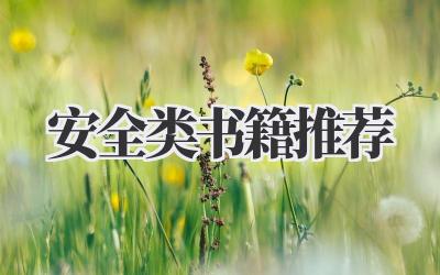 安全类书籍推荐