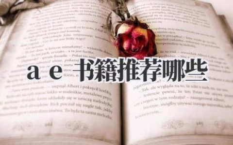 ae书籍推荐哪些