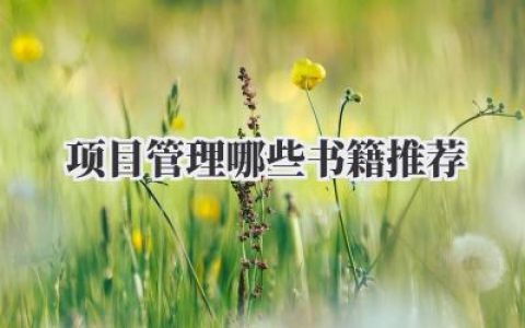 项目管理哪些书籍推荐
