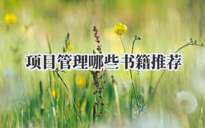 项目管理哪些书籍推荐