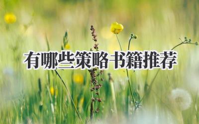 有哪些策略书籍推荐