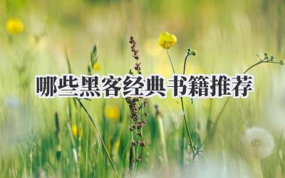 哪些黑客 经典书籍推荐