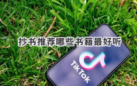 抄书推荐哪些书籍最好听