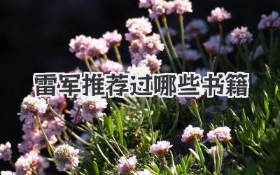 雷军推荐过哪些书籍