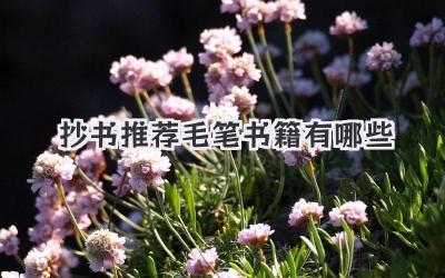 抄书推荐毛笔书籍有哪些